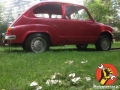 95 d 600_fiat600_ (66)